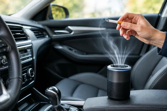 Zigarettengeruch im Auto dauerhaft neutralisieren